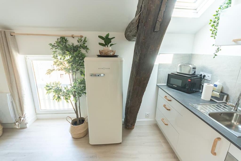 Immeuble L'aristocrate - Le Boho- Bd Carnot *