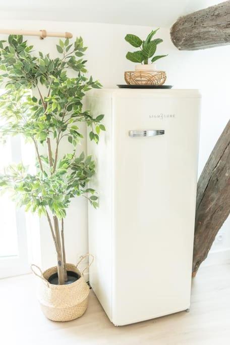 Appartement Immeuble L'aristocrate - Le Boho- Bd Carnot *